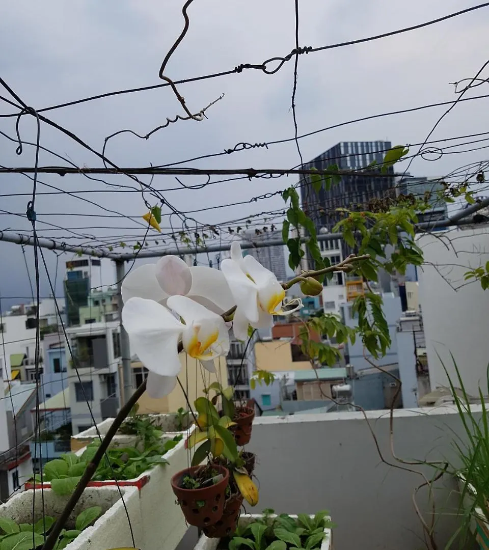 Urban House Saigon 2 Apartment Ho Chi Minh City