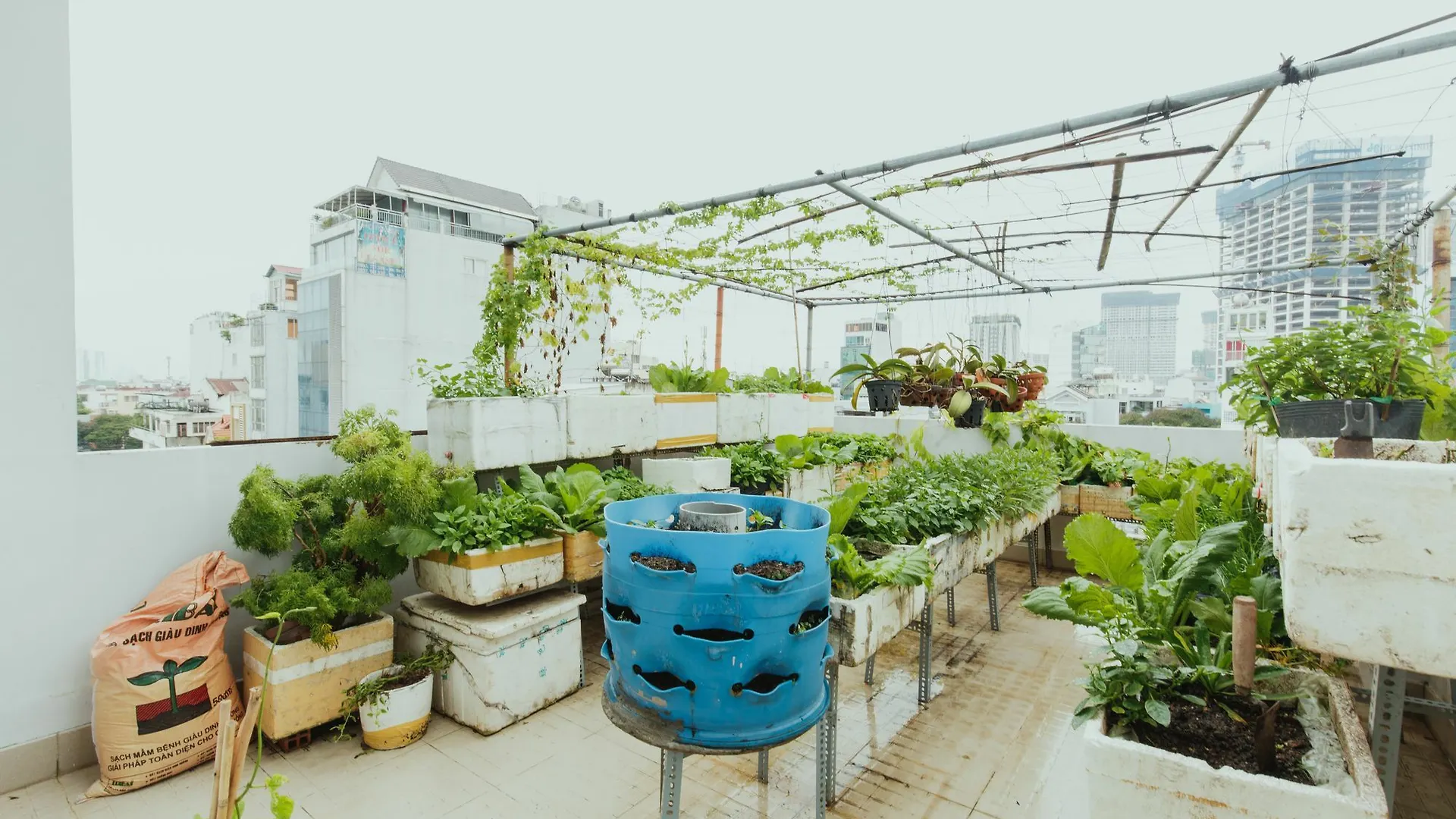Urban House Saigon 2 Apartment Ho Chi Minh City Homestay